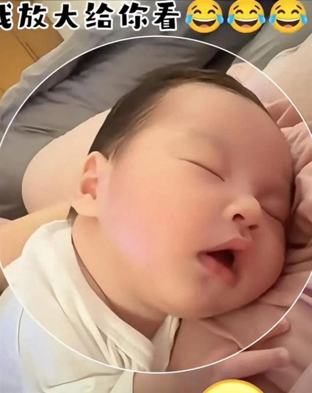 从“滞留台北”到“证件谜题”:麻六记杨总直播辟谣背后的流程真相 娱乐新闻