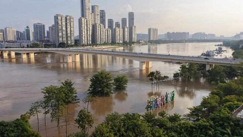  8.8级地震触发海啸预警：透视上海防灾体系的精密防线 新闻
