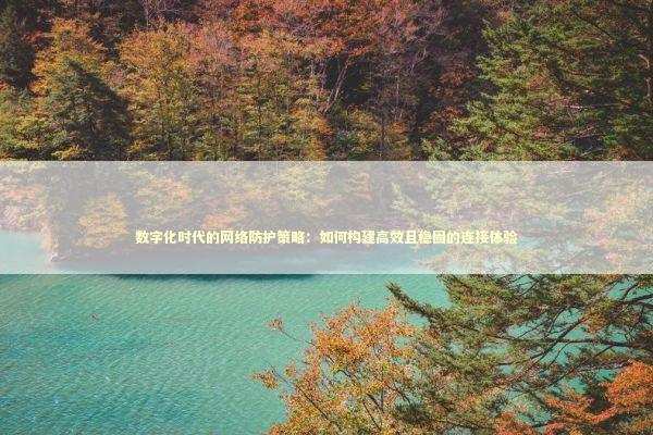 数字化时代的网络防护策略：如何构建高效且稳固的连接体验