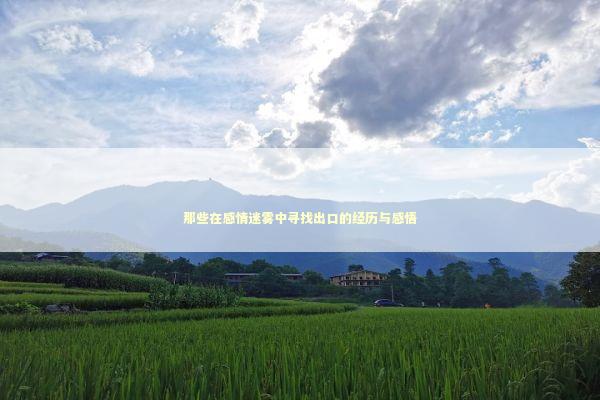那些在感情迷雾中寻找出口的经历与感悟 那些在感情迷雾中寻找出口的经历与感悟 情感心理