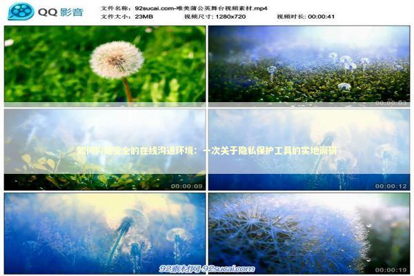 如何构建安全的在线沟通环境：一次关于隐私保护工具的实地调研 IT技术