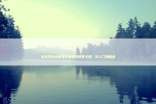 企业级安全服务平台官网使用手册：从入门到精通 企业服务