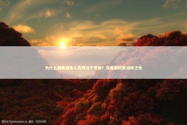 为什么越来越多人选择这个平台？深度解析其独特之处 企业服务