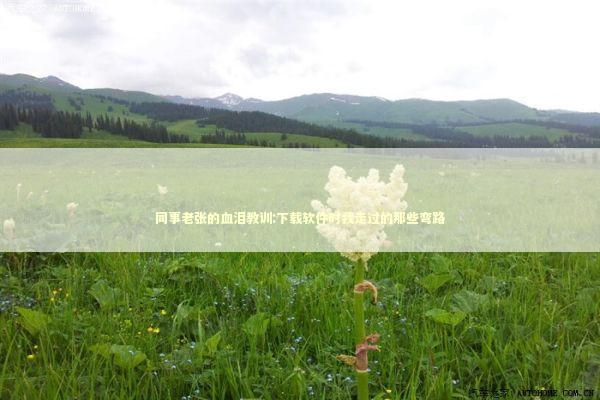 同事老张的血泪教训:下载软件时我走过的那些弯路