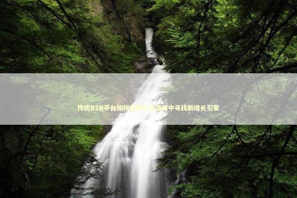 传统B2B平台如何在数字化浪潮中寻找新增长引擎