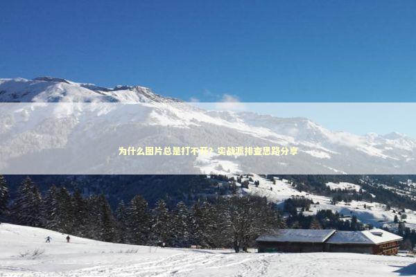为什么图片总是打不开？实战派排查思路分享